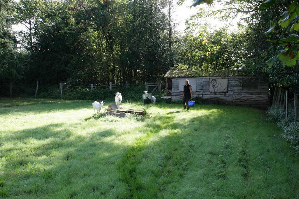 Le Petit Mas D'Ile Bed & Breakfast Saint-Germain-de-Confolens Luaran gambar