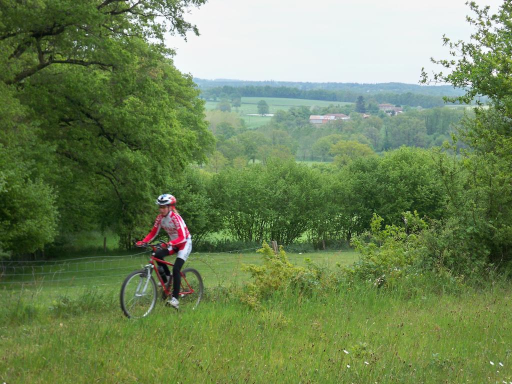 Le Petit Mas D'Ile Bed & Breakfast Saint-Germain-de-Confolens Luaran gambar